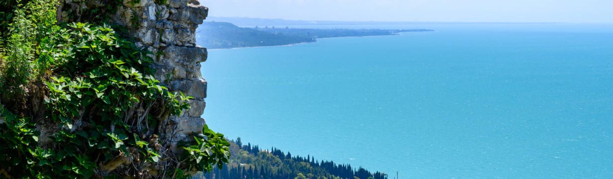 Горящие туры в Абхазию