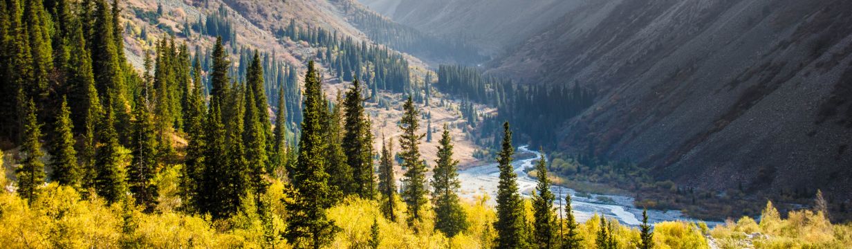 Туры в Кыргызстан